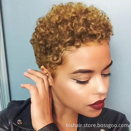 Short Bob Water Cruly Pixie Cut Wig For Women Loose Deep Wave Cheap Full Machine Made Wigs Brazilian Human Remy Hair Wigs